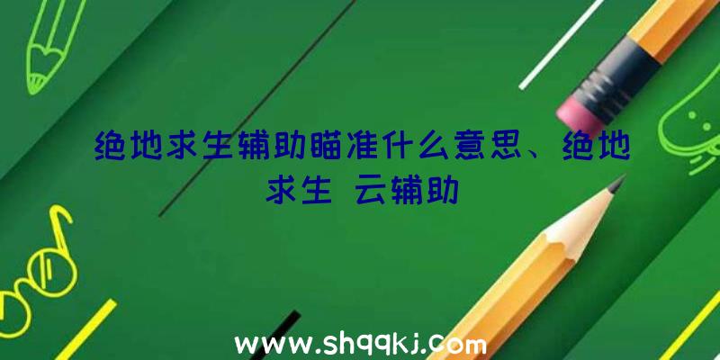 绝地求生辅助瞄准什么意思、绝地求生